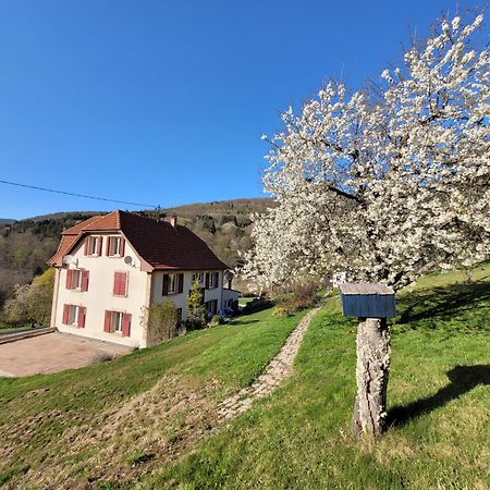 Domaine De La Charriere Sur 63 Ares - 8 Pers Grand Confort Villa Neuviller Buitenkant foto