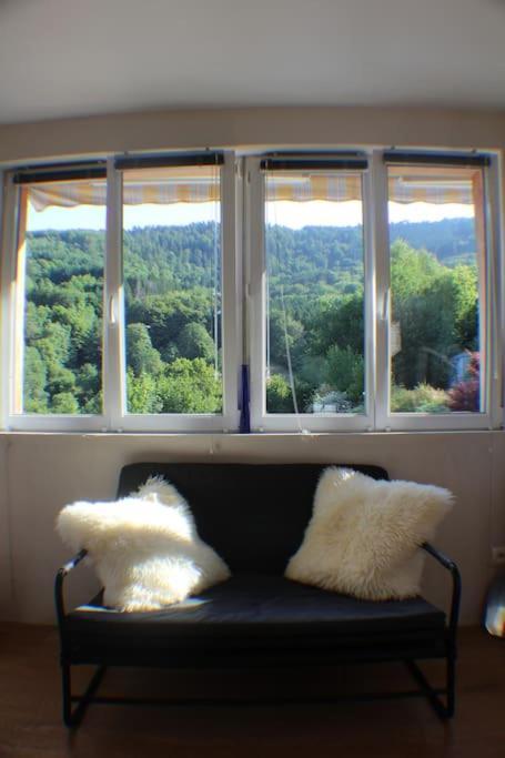 Domaine De La Charriere Sur 63 Ares - 8 Pers Grand Confort Villa Neuviller Buitenkant foto