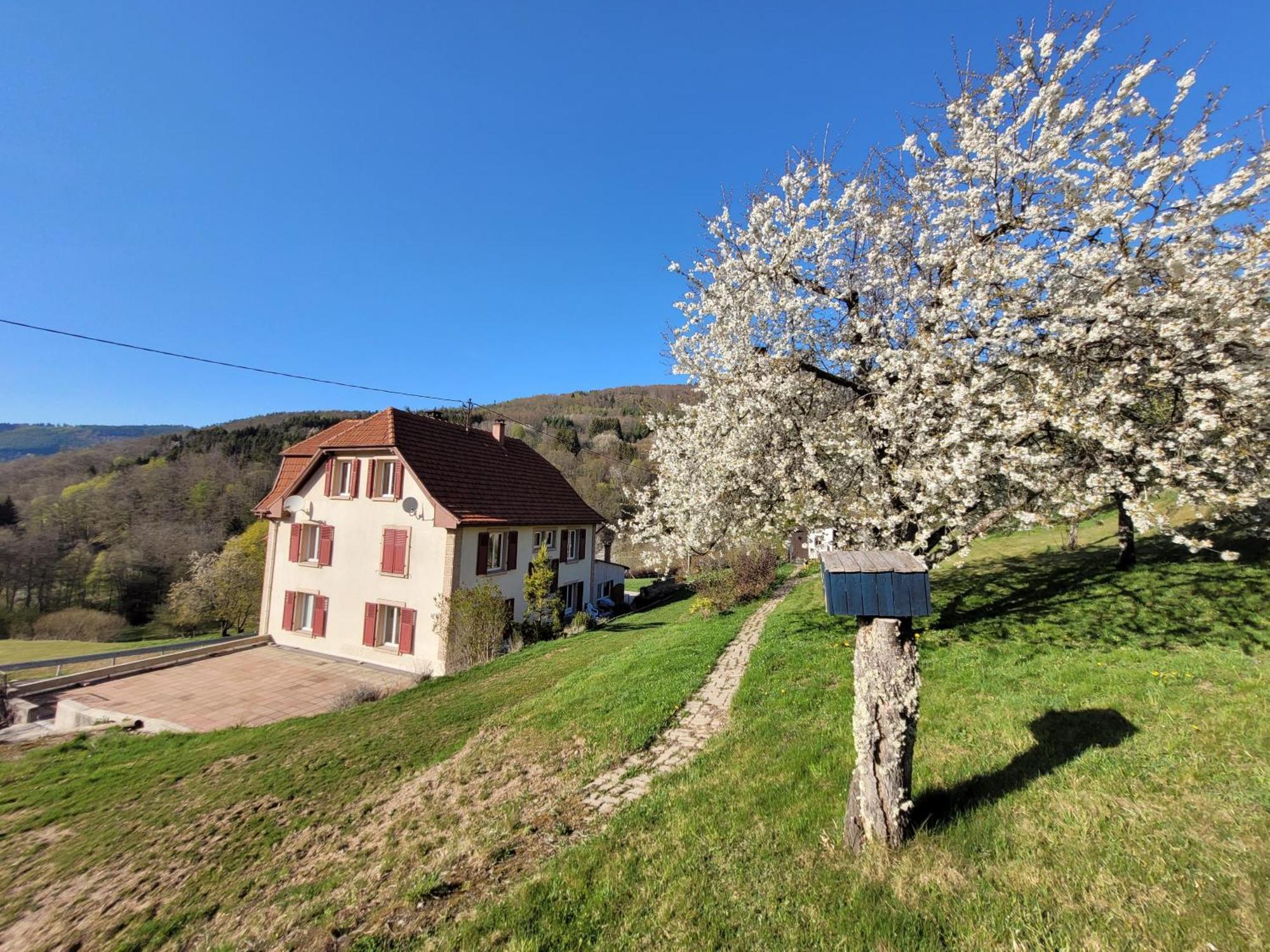 Domaine De La Charriere Sur 63 Ares - 8 Pers Grand Confort Villa Neuviller Buitenkant foto