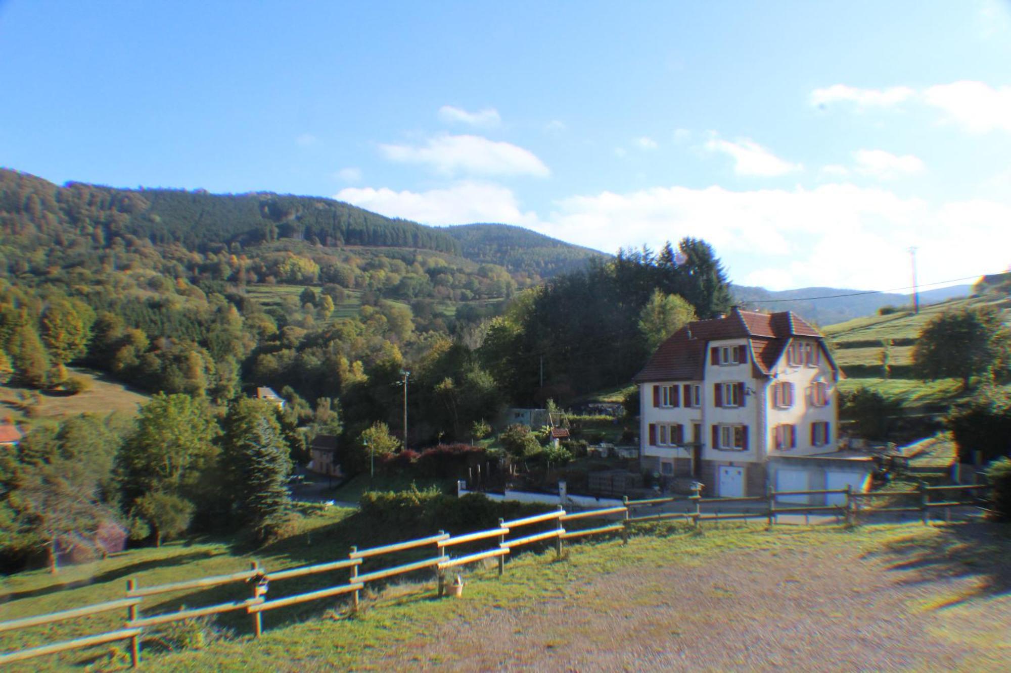 Domaine De La Charriere Sur 63 Ares - 8 Pers Grand Confort Villa Neuviller Buitenkant foto